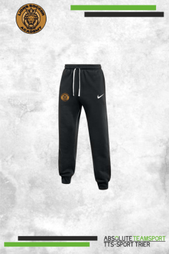 Nike Park 26 Jogginghose -Lions-