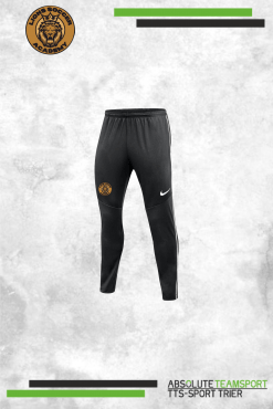 Dri-Fit Park 26 Strickhose -Lions-