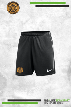 Dri-Fit Park 26 Strick-Shorts -Lions-