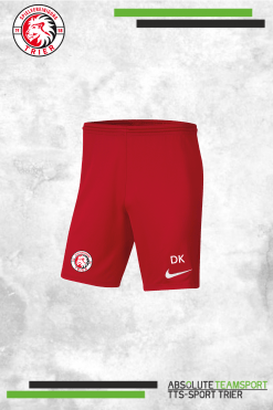 Dri-Fit Park III Knit Short -Spvgg-