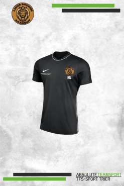 Dri-Fit Park 26 Top -Lions-