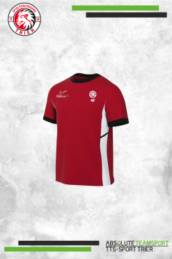 Dri-Fit Academy 25 Top