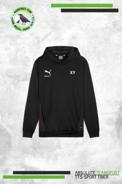 TeamGoal Training Hoody Gold