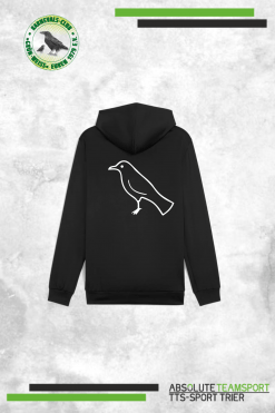 Alternative view of TeamGoal Training Hoody weiß