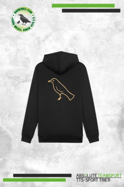 Alternative view of TeamGoal Training Hoody Gold