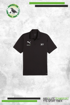 TeamGoal Polo Gold