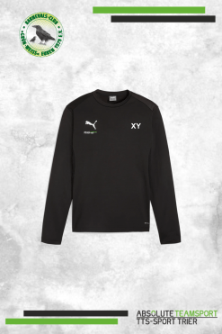 TeamGoal Training Sweat Gold