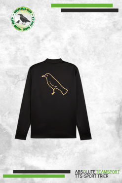 Alternative view of TeamGoal Training Sweat Gold