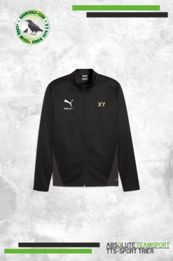 TeamGoal Training Jacket Gold