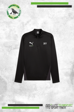 TeamGoal Training 1/4 Zip Top Weiß