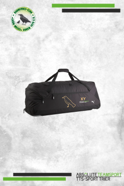 Tasche TeamGoal Gold