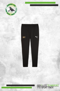 TeamGoal Training Slim Training Pants Gold