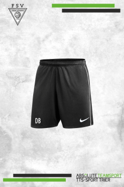 Dri-Fit Park 26 Strick-Shorts Kürenz